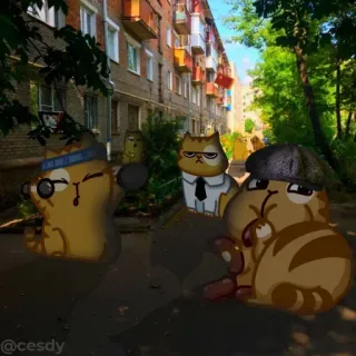 😊 @cesdy 猫, 卡通, 动物, 贴纸 telegram sticker