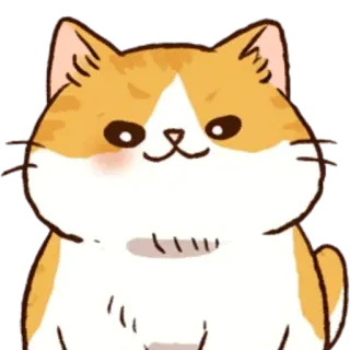 😎 gatto, animale, carino, adesivo telegram sticker