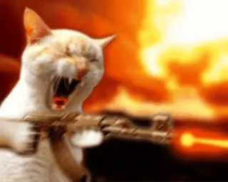 🔫 gatto, arma, violenza, esplosione, meme telegram sticker