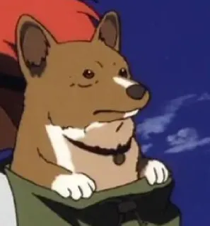 😐 perro, corgi, mascota, animal, dibujo animado telegram sticker