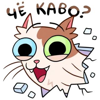 👋 VIE VAROS chat, dessin animé, drôle, animal, yeux whatsapp sticker