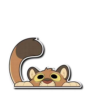 👀 kot, zwierzę, słodki, naklejka, kreskówka telegram sticker