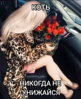 🌟 КОТЬ
НИКОГДА НЕ УНИЖАЙСЯ ผู้หญิง, ดอกไม้, กุหลาบ, เสื้อลายเสือ, หรูหรา, ภายในรถ telegram sticker