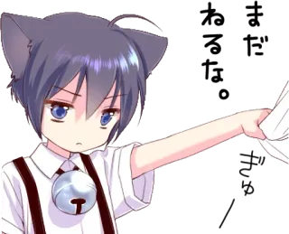😒 Anime, Ragazzo, Orecchie da gatto, Campanello, Carino telegram sticker