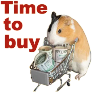 💵 Time to buy Meerschweinchen, Einkaufswagen, Geld, Kaufen, Süß, Tier, Haustier telegram sticker