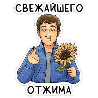Реальные пацаны :: @stickroom telegram stickers