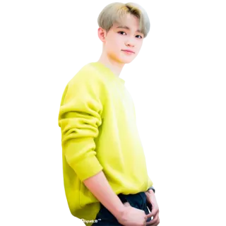 😊 người, đàn ông, kpop, idol, chân dung, áo vàng, thường ngày telegram sticker