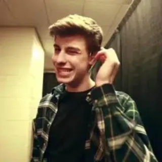 😉 Shawn Mendes person, celebrity, portrait, singer, shawn mendes telegram sticker