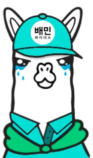 🛻 배민 라이더스 лама, плачет, доставка, корейский, всадник whatsapp sticker