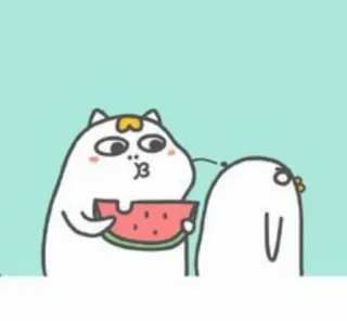 🐥 kucing, burung, semangka, lucu, kartun, makanan, hewan whatsapp sticker