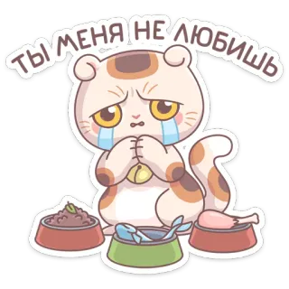 😭 ТЫ МЕНЯ НЕ ЛЮБИШЬ кот, грустный, еда, мультфильм, стикер, милый, животное whatsapp sticker
