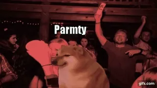 🌐 Parmty doge, impreza, święto, mem, zabawa, taniec telegram sticker