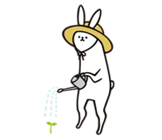 🌱 lapin, arrosage, jardinage, lapin, mignon, chapeau, carotte whatsapp sticker