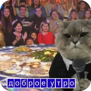 🫥 Cat доброе утро cat, microphone, tuxedo, good morning, meme, celebration, funny cat telegram sticker