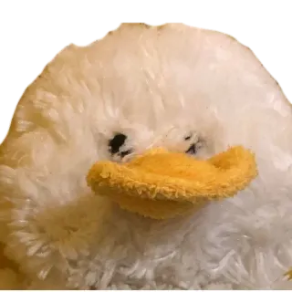 🥰 duck, animal, bird, cute, stuffed animal, toy telegram sticker
