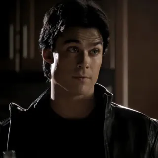 🩸 Damon Salvatore The Vampire Diaries vampire, supernatural, drama, teen, romance, tv show, Ian Somerhalder telegram sticker