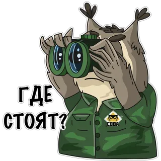 👀 ГДЕ СТОЯТ? owl, binoculars, russian, where are they standing, bird, military, sova whatsapp sticker
