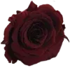 🥀