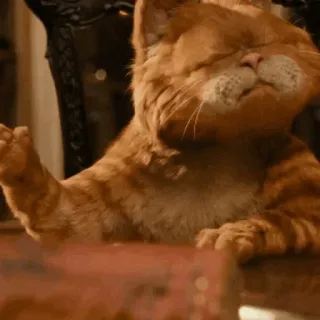 🤣 Garfield Garfield, cat, middle finger, offensive gesture, cartoon cat, movie telegram sticker