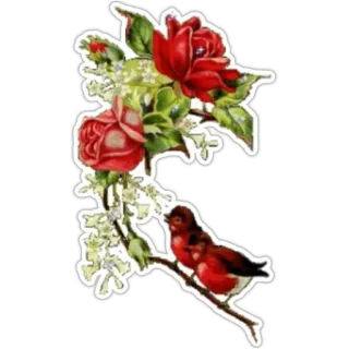 🌹 flowers, roses, bird, nature, vintage, floral whatsapp sticker