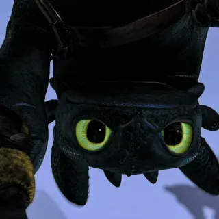 📍 Toothless How to Train Your Dragon Drache, Cartoon, Tier, süß, Nachtschatten telegram sticker