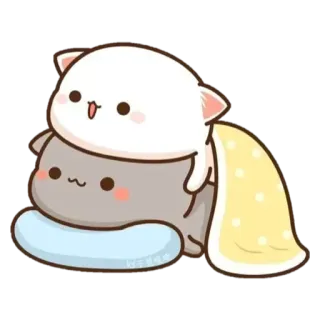 😌 Katze, niedlich, kawaii, schlafend, Decke, Tiere telegram sticker