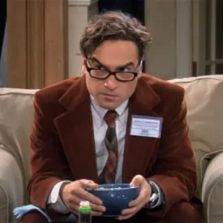 🤨 Leonard Hofstadter The Big Bang Theory Leonard, The Big Bang Theory, sitcom, character, eyeglasses, bowl telegram sticker