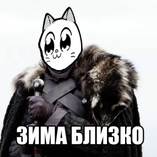Catting cat telegram stickers
