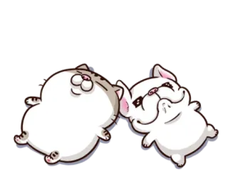 😴 고양이, 강아지, 동물, 귀여운, 만화, 자는, 우정 telegram sticker