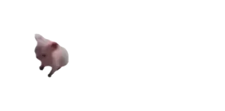 🤏 pig, animal, cute, pink, farm telegram sticker