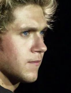 😠 Niall Horan niall horan, cantante, one direction, celebridad, retrato telegram sticker