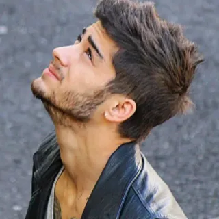 👑 Zayn Malik prominenter, mann, sänger, porträt, person, künstler telegram sticker