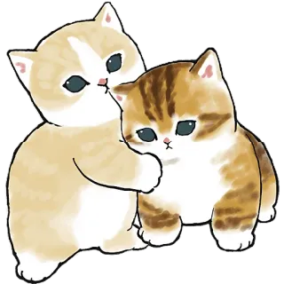 👄 猫, 小猫, 动物, 可爱, 宠物, 家畜 telegram sticker