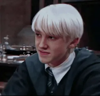 🐾 Draco Malfoy Harry Potter 드레이코 말포이, 해리 포터, 마법사, 슬리데린, 마법 telegram sticker