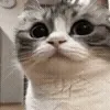 😬
