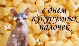 🌽 с днем кукурузных палочек cat, snack, corn sticks, animal, butterfly, food telegram sticker