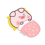 😴 猪, 睡觉, 可爱, 卡通, 动物, 困 telegram sticker