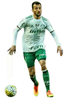 Elenco Palmeiras 👤 by @SEPalmeirasBot telegram stickers