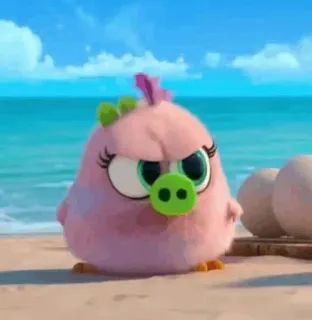 〰 oiseau, en colère, dessin animé, rose, mignon, plage telegram sticker