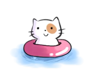 🙂 chat, natation, piscine, mignon, dessin animé, animal, flotteur telegram sticker