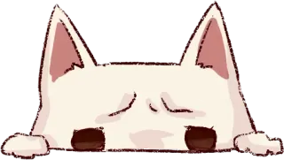 ☀️ Katze, weiß, süß, Cartoon, Tier telegram sticker