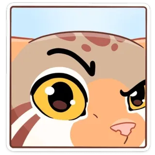 👁 chat, animal, dessin animé, autocollant, mignon, en colère telegram sticker