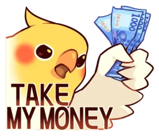 😉 TAKE MY MONEY cockatiel, argent, oiseau, mignon, drôle, mème, espèces whatsapp sticker