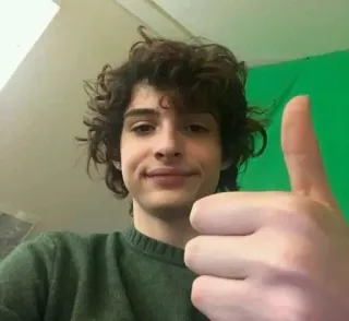 🎸 persona, ritratto, schermo verde, pollice in su, capelli ricci, finn wolfhard telegram sticker