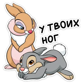 🙄 У ТВОИХ НОГ animaux, lapin, mignon, dessin animé telegram sticker