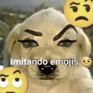 🤨 imitando emojis dog, emoji, meme, funny telegram sticker