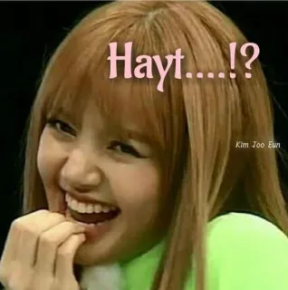 🤣 Hayt...!?
Kim Joo Eun женщина, мем, смешно, смех, выражение, человек, девушка, текст telegram sticker