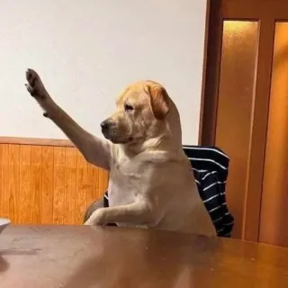☝ dog dog, waving, funny, labrador, cute, animal, meme, pet telegram sticker