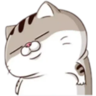 🙃 cat, animal, pet, cute, sticker telegram sticker
