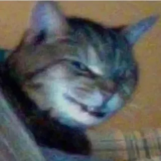 😈 猫, 動物, ペット, ネコ科, ニヤリ, ミーム telegram sticker